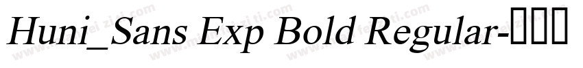 Huni_Sans Exp Bold Regular字体转换